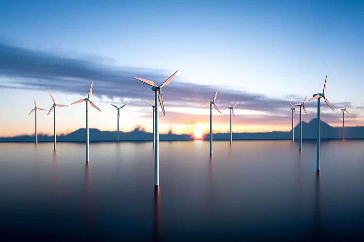 碳中和